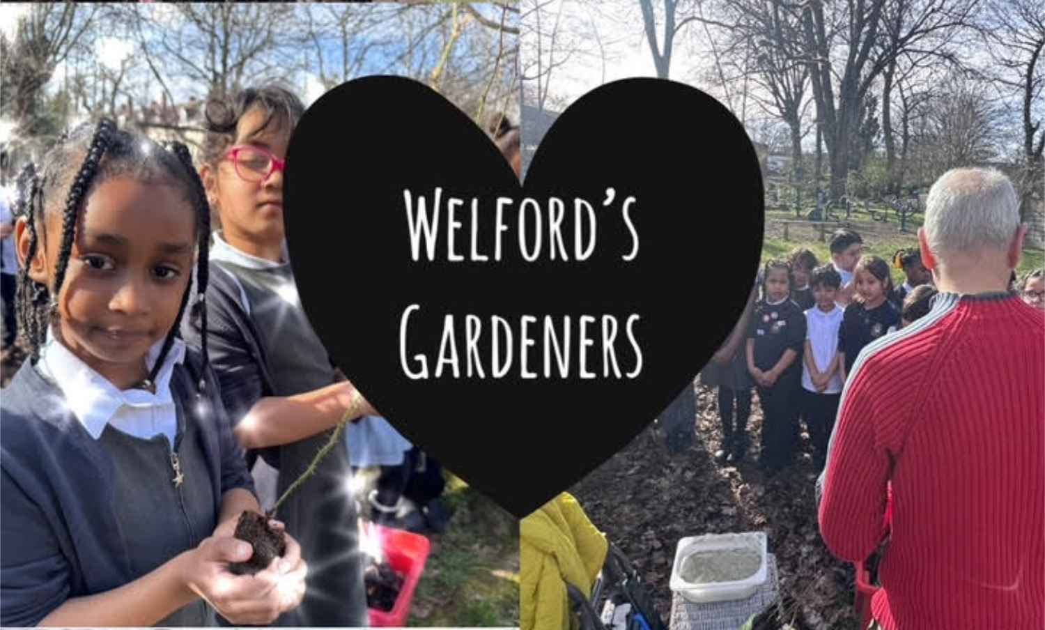 image for the story called 100 trees!